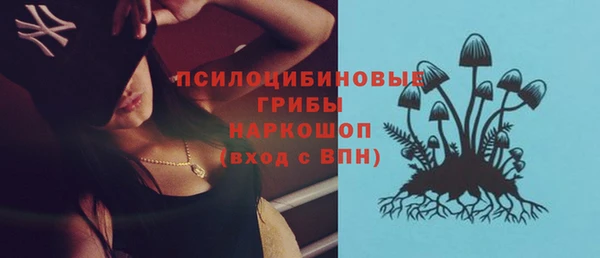 меф Гусь-Хрустальный