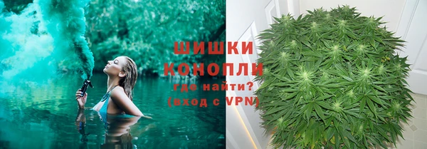 скорость Гусев