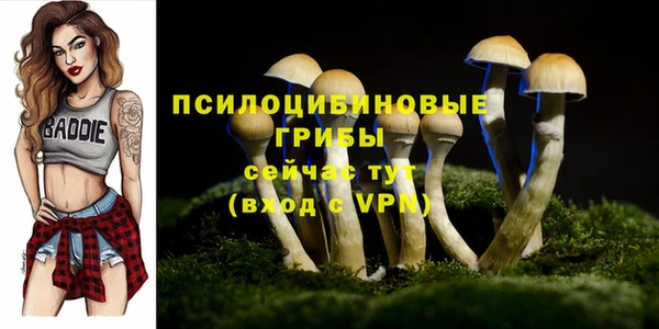 меф Гусь-Хрустальный