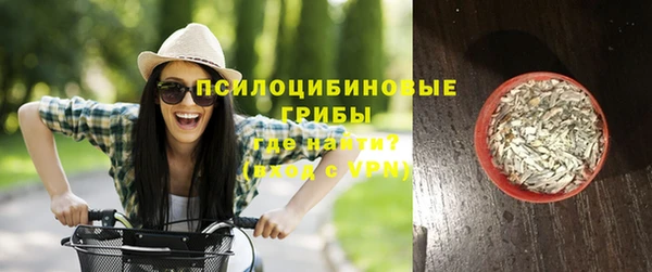 ГАЛЛЮЦИНОГЕННЫЕ ГРИБЫ Дмитров
